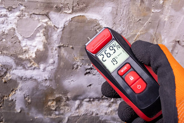 Nicholson, MS Mold Remediation Company