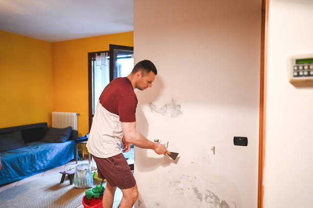 Best Insurance-Related Mold Remediation in Nicholson, MS